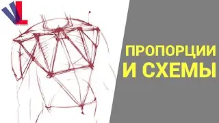 Торс: пропорции и схемы [Александр Рыжкин - Избранное ч.19]