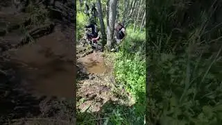 ПРОХВАТ ПО ЛЕСУ НА ПИТБАЙКЕ?!  #питбайк #эндуро #топ #enduro