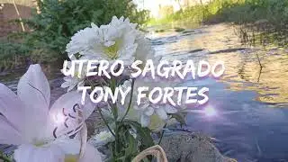 Músicas Medicina - Tony Fortes