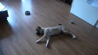 Dexter met laser