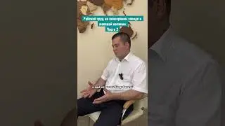 8 ноября 2023 г.