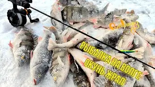 ПЕРВЫЙ ЛЕД НА ВОЛГЕ. ОКУНЬ АКТИВНЫЙ. НЕ ЗРЯ ВЫШЛИ В МОРОЗ