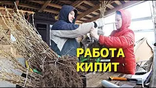 ГОРЯЧАЯ ПОРА // КАК СДЕЛАТЬ ЗАКАЗ НА УСАД.РФ // ИНТЕРНЕТ-МАГАЗИН // ПРОЕКТ САЖЕНЦЫ