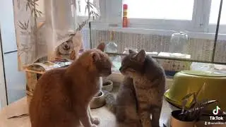 Мама. Мамочка моя.