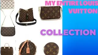 My Louis Vuitton Handbag and SLG collection (Which do I recommend?)