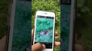 i phone 6s camera review| #short #youtubeshorts