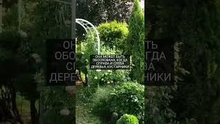 Garden arches 😰 
