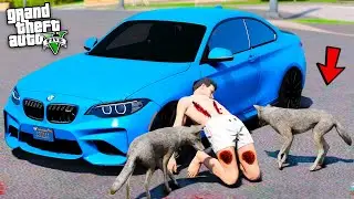 ПОКУСАЛИ БЕШЕННЫЕ СОБАКИ В ЛЕСУ ! НА МЕНЯ НАПАЛА СТАЯ СОБАК - РЕАЛЬНАЯ ЖИЗНЬ GTA V