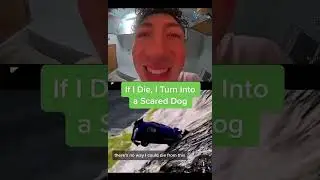 If I Die, I Turn Into a Scared Dog