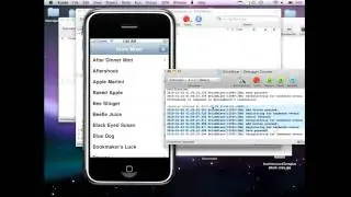 HD Iphone xcode database Tutorial: Make button saving data entered; Source Code, PLISTS(4 of 5)