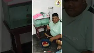 My Flowerhoen Fish Tank Cleaning 😍😍 | Fish Tank Cleaning In Tamil 🧽🪣|
