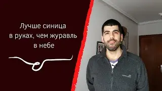 РУССКИЕ ПОГОВОРКИ VS ИСПАНСКИЕ ПОГОВОРКИ