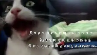 Жиза мемы ржака
