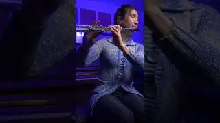 Mozart Piano Concerto on Flute 💯👌