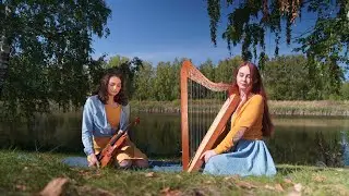 Green Day – Wake Me Up When September Ends || harpviolin cover