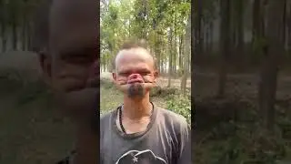 31 мая 2019 г.