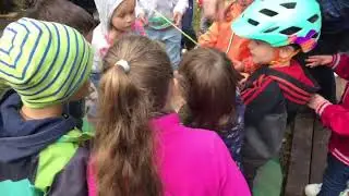 Коронование лягушки. Открытие Тропы Ивана-Царевича