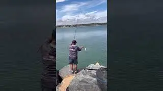 Y se cayó la caña 🤣🤣 #fishing #huelva #fish #pescaspinning #pesca