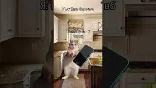 Тг:attrowka,там все футажи❤️ 