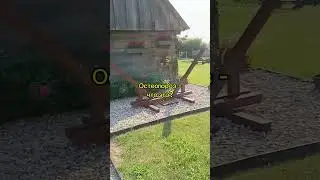 остеопороз -что это#shortsvideo #shorts_ #shortsyoutube #остеопароз