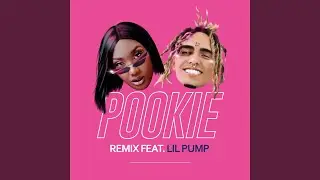 Pookie (feat. Lil Pump) [Remix]