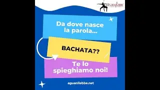 DA DOVE DERIVA LA PAROLA BACHATA?