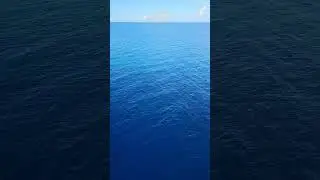 I like blue :) #cruise #royalcaribbean #allureoftheseas