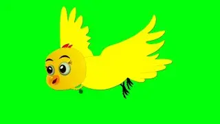 Talking and flying tuni chidiya in green screen