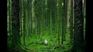 3Minute Peaceful and Relaxing Video