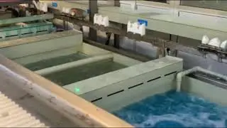 PTH - Automatic electroless plating copper equipment - Printed Circuit Board