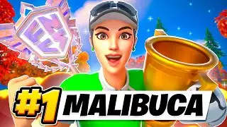 🏆1ST PLACE SOLO CASH CUP OPENS AGAIN 🏆| Malibuca
