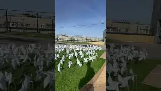 Ресторан Zaman в Уфе 🌙