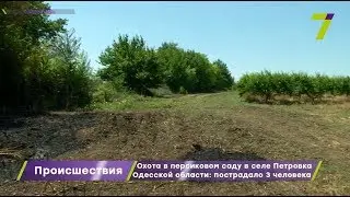 Охота в персиковом саду в селе Петровка Одесской области: пострадали 3 человека