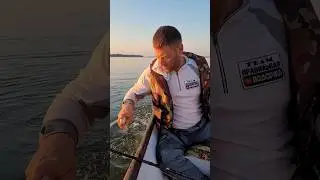 Работа квока от Юрия Философа