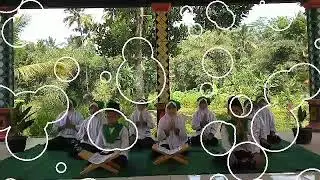 Al Barjanji oleh Siswa MI Ma'arif NU Limbasari