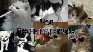 Speed up || Песни на рандом | +кайф ||🎧