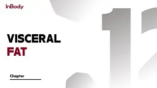 12. Visceral fat