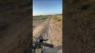 Велосипед айдау/  Езда на велосипеде