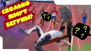 СКОЛЬКО ЖМУТ БЕГУНЫ???