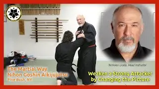 Make a Strong Attacker Weak by Changing the Picture