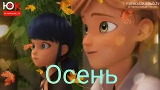 Клип 🍁Осень🍁 _ Леди баг и супер кот 🍂
