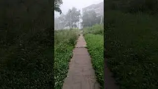 Доброе утро ☕☕☕ 🌞🌞🌞, иду на работу 🙂🙂🙂#гдетонапросторахстраны
