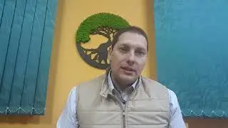 Чи забере гранстар падалицю эвролайтингового соняшнику та навпаки?