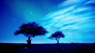 Peaceful,Relaxing,Sleep,Soft,Meditation,Spa,Chill,Rain,Wind & Healing Music