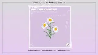 [FREE] Lo-fi Type Beat - " Wildflowers " (Prod. Luxøfons)