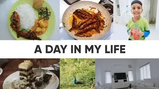 A Day in my life vlog/simple recipes/Reshus kitchen travel vlog