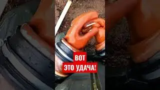 Ааа! О Боги, супер находка! 