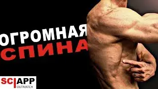Полная Тренировка Спины - Ширина, Толщина, Сила | Джефф Кавальер