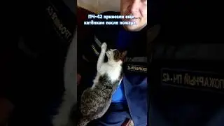 Пожарная кошка!!! #спасатель#пожарный#мчс#огнеборцы#пожар