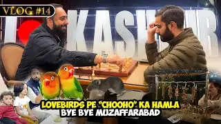 #NS_Vlog